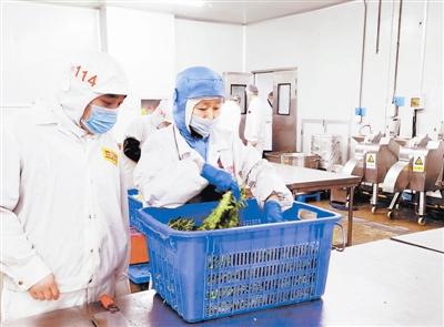 天津確保校園食品安全 監(jiān)管先行，教育軟件賦能